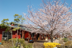 ふたばランド保育園 園長 都築 淳